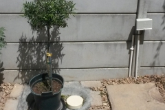 Greywater system -Stonehurst