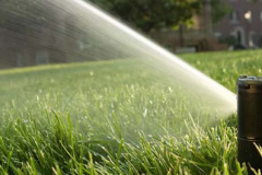 rotor_rainbird_ irrigation sprikler