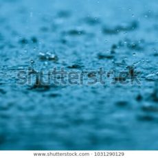 Rainfall pattern of Cape Town, month by month